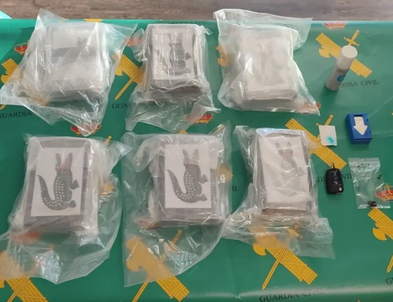 Krokodil mbi kokainë, logoja që po “çmend” Argjentinën! U përket shqiptarëve? Krokodil mbi kokainë, logoja që po "çmend" Argjentinën! U përket shqiptarëve?